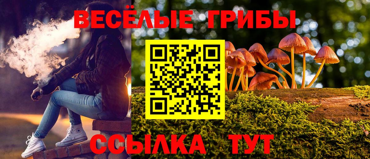 Псилоцибиновые грибы мухоморы Кузнецк